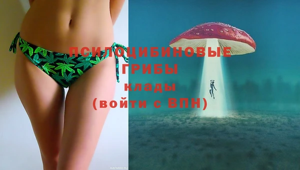 бошки Алексин