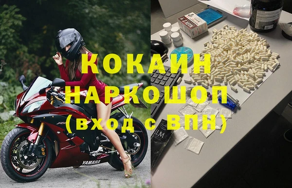 бошки Алексин
