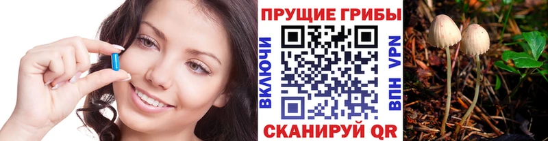 магазин    Починок  Галлюциногенные грибы мухоморы 